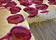 Lieblings - Obstkuchen - Boden