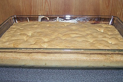 Apfelbiskuit 11