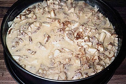 Apfelbiskuit 3