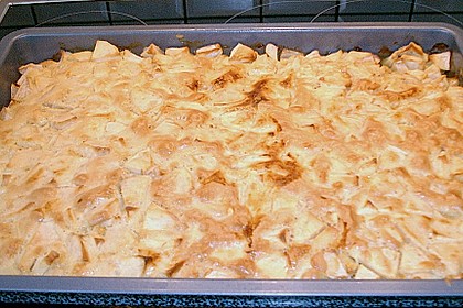 Apfelbiskuit 4
