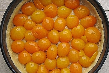 1-2-3 - Obstkuchen mit Cr&egrave;me fraiche 31