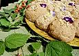 Wildkr&auml;uterbrot