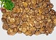 Gegrillte Champignons