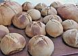Roggenbrot