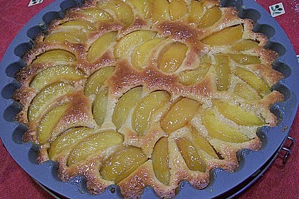 Aprikosen - Joghurt - Tarte 2
