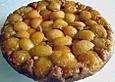 Aprikosen - Joghurt - Tarte