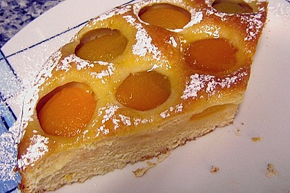 Aprikosen - Joghurt - Tarte 1