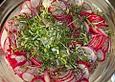 Radieschen - Kresse - Salat