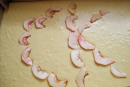 Apfelkuchen 17