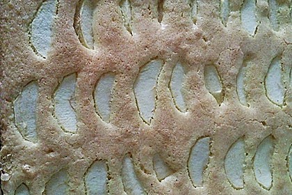 Apfelkuchen 9