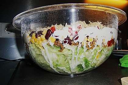 Taco-Salat 28