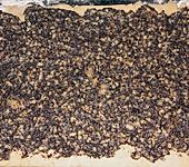 Gerollter Mohnkuchen (Bild)