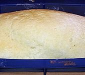 Gerollter Mohnkuchen (Bild)