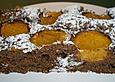 Schokolade - Obstschnitten