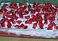 Erdbeertiramisu