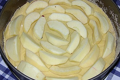 Apfelkuchen mit Quarkguss 1