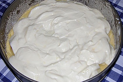 Apfelkuchen mit Quarkguss 2