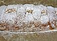 Wiener Zimtkuchen