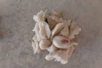Erdnuss - Rosinen - Cookies 7