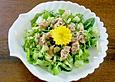 Blatt - und Gurkensalat mit Thunfisch