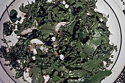 Champignonsalat mit Wildkr&auml;utern