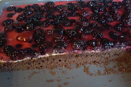 Beerenkuchen mit Mascarpone 23