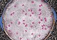 Zimtkuchen