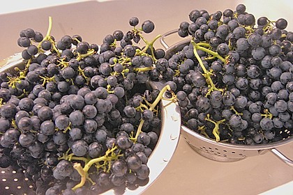 Traubengelee 13