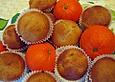 Mandarinen - Joghurt - Muffins