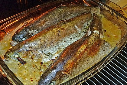 Fisch im Zwiebelbett 1