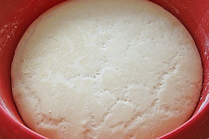 Pizzateig für Brotbackautomaten 5