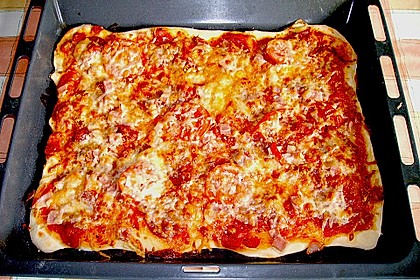 Pizzateig für Brotbackautomaten 7