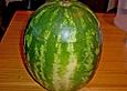 Wassermelonenschale, gef&uuml;llt mit Fr&uuml;chten