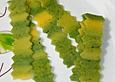 Gr&uuml;ner Nudelteig mit Spinat