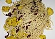 Spaghetti mit Kartoffeln und getrockneten Tomaten