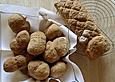 Bauernbr&ouml;tchen