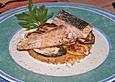 Kross gebratener Lachs mit Zucchini auf Polentaschnitten an Wasabisauce