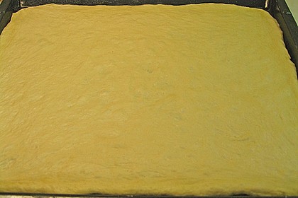 Pizzateig 3