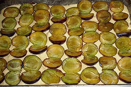 Pflaumenkuchen mit Streuseln auf dem Blech 20