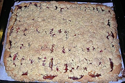 Pflaumenkuchen mit Streuseln auf dem Blech 21