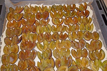 Pflaumenkuchen mit Streuseln auf dem Blech 17