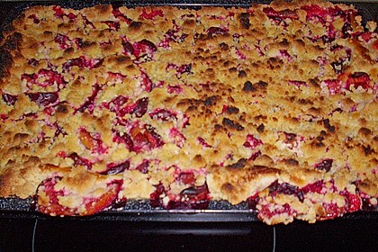 Pflaumenkuchen mit Streuseln auf dem Blech 16