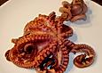 Oktopus auf Galicische Art