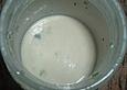 Salatdressing Schweizer Art