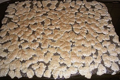 Mohnkuchen 2