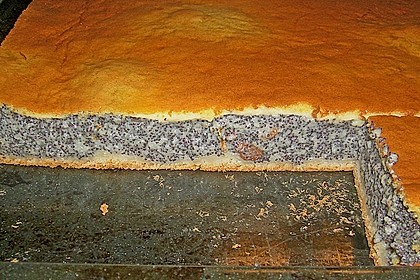 Mohnkuchen 5