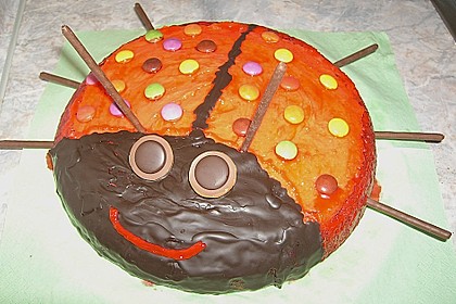 Gl&uuml;cksk&auml;fer (Marienk&auml;fer) 15