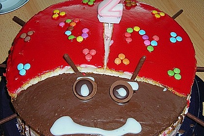 Gl&uuml;cksk&auml;fer (Marienk&auml;fer) 17