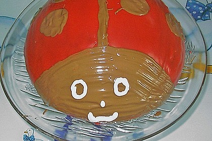 Gl&uuml;cksk&auml;fer (Marienk&auml;fer) 18