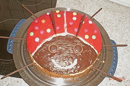 Gl&uuml;cksk&auml;fer (Marienk&auml;fer) 22